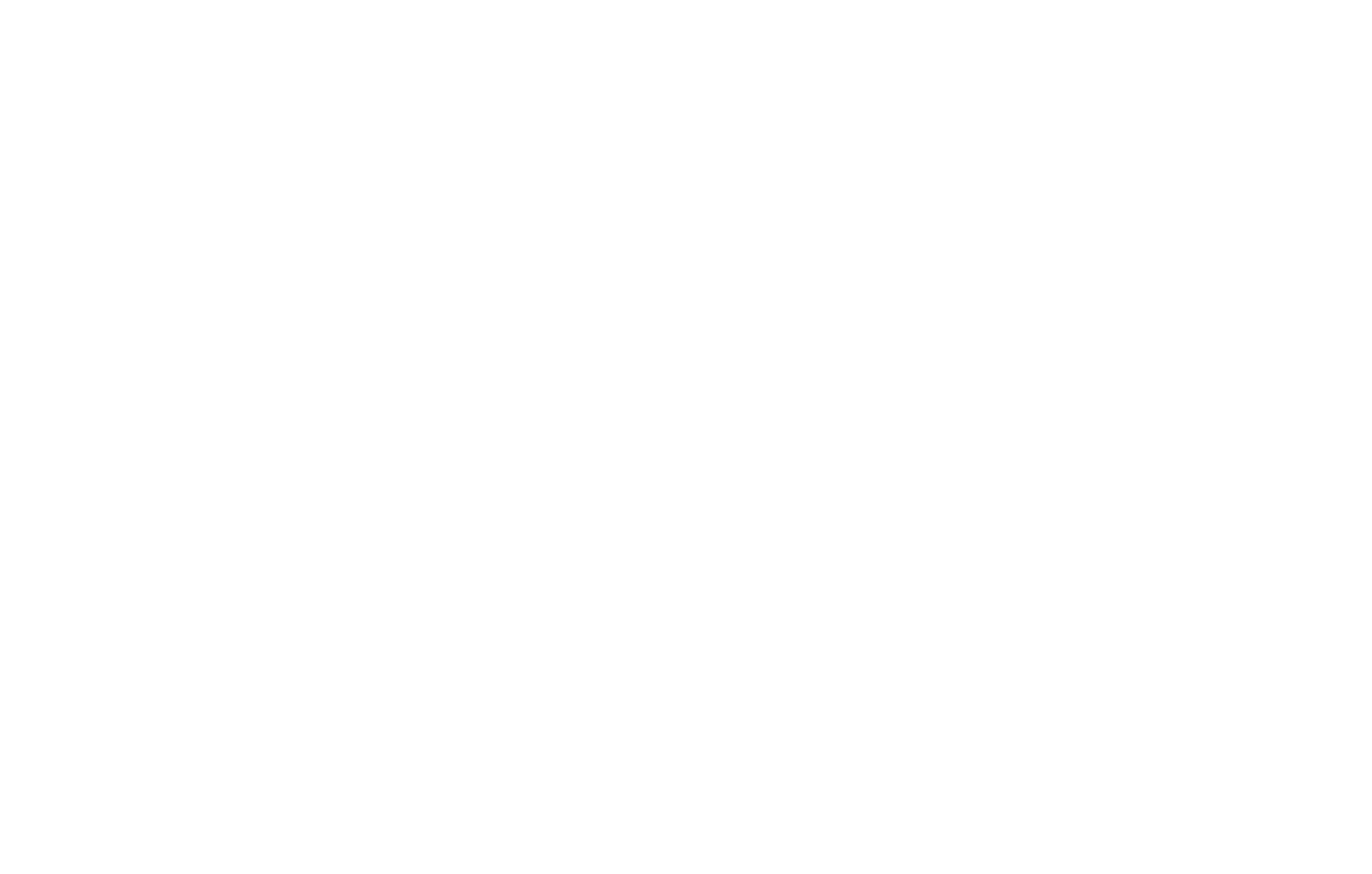 PIW Hintergrund-Logo